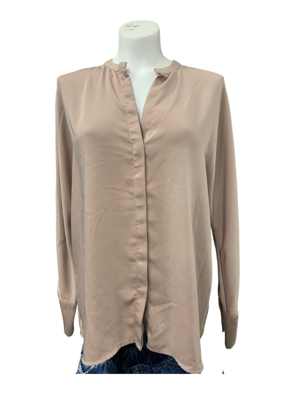 Dynamite Blush Long-Sleeve V-Neck Blouse
